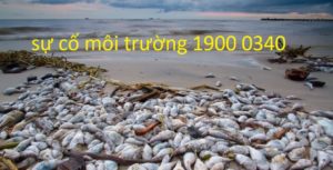 sự cố môi trường