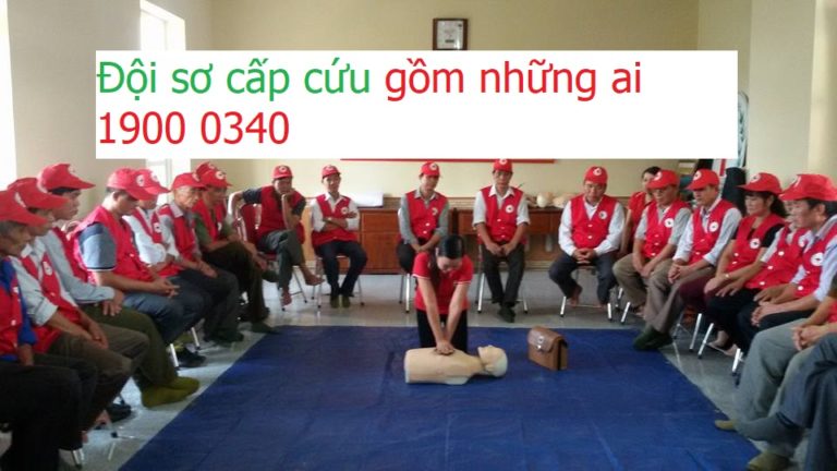 Đội sơ cấp cứu