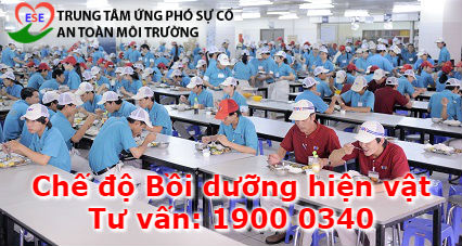 Bồi dưỡng hiện vật