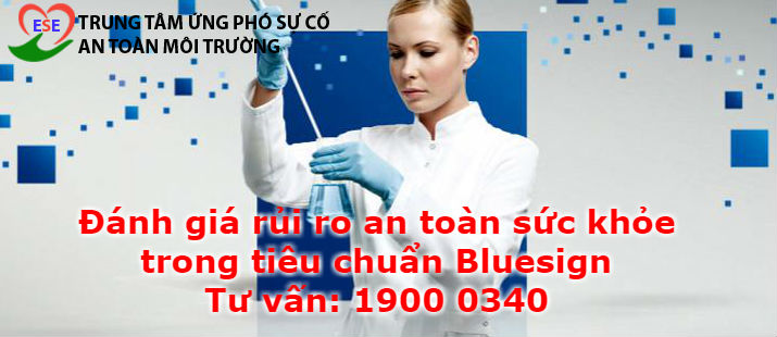 Đánh giá rủi ro an toàn sức khỏe nghề nghiệp trong tiêu chuẩn Bluesign được quy định tại tiêu chí thứ 11 quy định việc đánh giá rủi ro và nhận diện các mối nguy thường gặp trong An toàn sức khỏe môi trường.