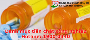 Danh mục tiền chất công nghiệp được quy định tại Nghị định 113/2017/NĐ-CP quy định chi tiết và hướng dẫn thi hành một số điều của Luật hóa chất.