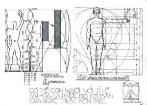 đánh giá ecgonomi