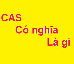 mã số cas