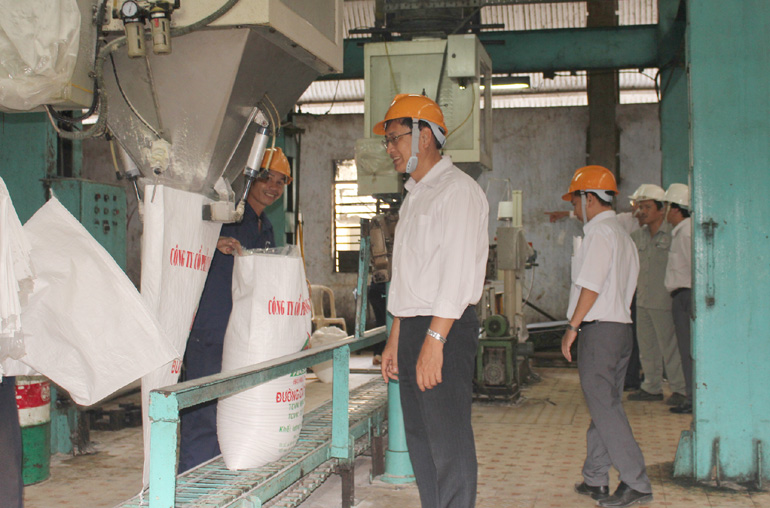 Đoàn kiểm tra ATVSLĐ tỉnh đang kiểm tra công tác an toàn tại một số công ty