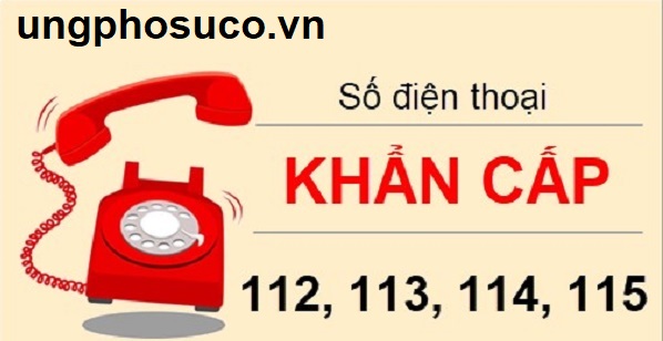 số điện thoại khẩn cấp