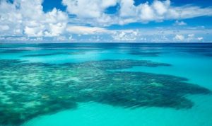 Tại sao nước biển lại mặn ? Lý giải thú vị về khoa học – Nước sinh hoạt gia đình