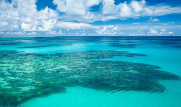 Tại sao nước biển lại mặn ? Lý giải thú vị về khoa học – Nước sinh hoạt gia đình